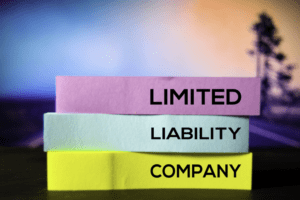 Single-Member vs. Multi-Member Limited Liability Companies In Florida